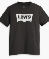 Levis Graphic Mens Tee