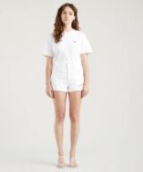 Levis 501 Short Everythings Fin