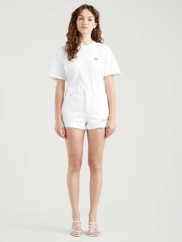 Levis 501 Short Everythings Fin