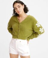 Levis 501 Short Everythings Fin