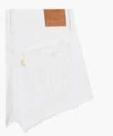 Levis 501 Short Everythings Fin