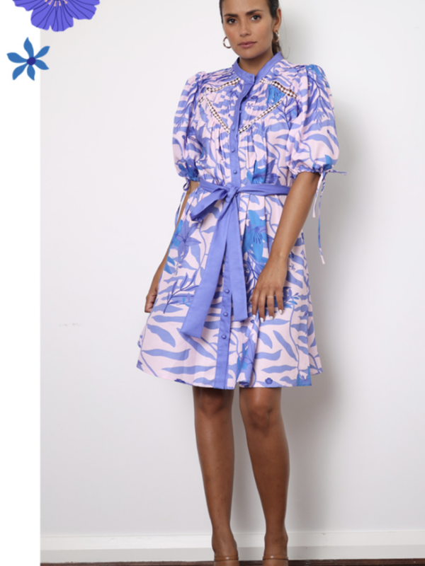 White Sandstorm Delilah Ss Mini Dress