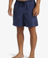 Quiksilver & Roxy Everyday Surfwash Volley