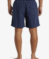 Quiksilver & Roxy Everyday Surfwash Volley