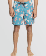 Quiksilver & Roxy Everyday Mix Volley 17NB