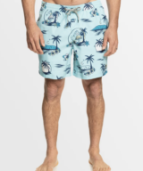 Quiksilver & Roxy Everyday Mix Volley 17NB