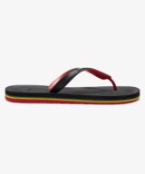 Quiksilver & Roxy Haleiwa Core
