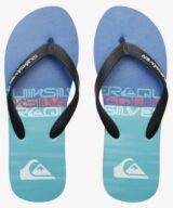 Quiksilver & Roxy Molokai Stripe