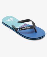 Quiksilver & Roxy Molokai Stripe