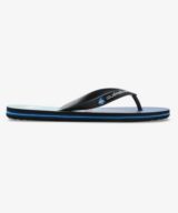 Quiksilver & Roxy Molokai Stripe