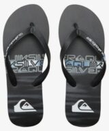 Quiksilver & Roxy Molokai Stripe