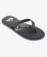 Quiksilver & Roxy Molokai Stripe