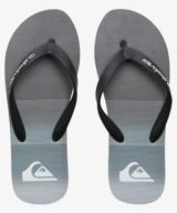 Quiksilver & Roxy Molokai Stripe
