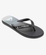 Quiksilver & Roxy Molokai Stripe