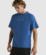 Quiksilver & Roxy New Instinct Ss Stn