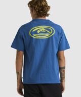 Quiksilver & Roxy New Instinct Ss Stn