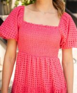 Fria Silver Wishes Zoie Shirred Mini Dress