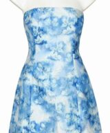 Shareen Nola Floral Mini Dress