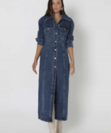 Madison the Label Luca Denim Maxi Dress