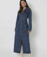 Madison the Label Luca Denim Maxi Dress