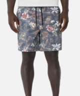 Industrie the Alcot Swim Short