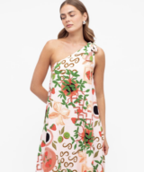 White Closet Elodie Os Maxi Dress