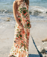 White Closet Elodie Os Maxi Dress
