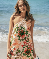 White Closet Elodie Os Maxi Dress