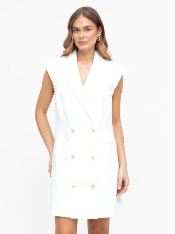 Ebby & i Maddison Mini Dress
