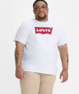 Levis Graphic Big Mens Tee