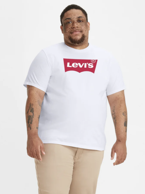 Levis Graphic Big Mens Tee