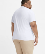 Levis Graphic Big Mens Tee