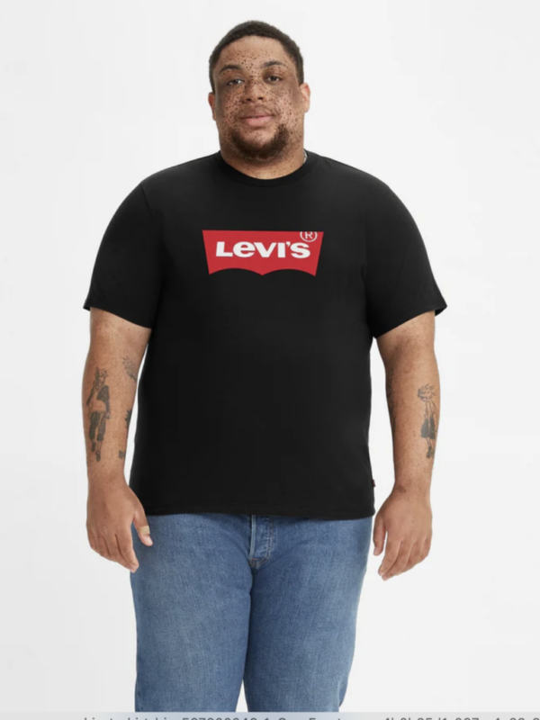 Levis Graphic Big Mens Tee