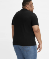 Levis Graphic Big Mens Tee