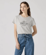 Levis Graphic Boxy Ladies Tee