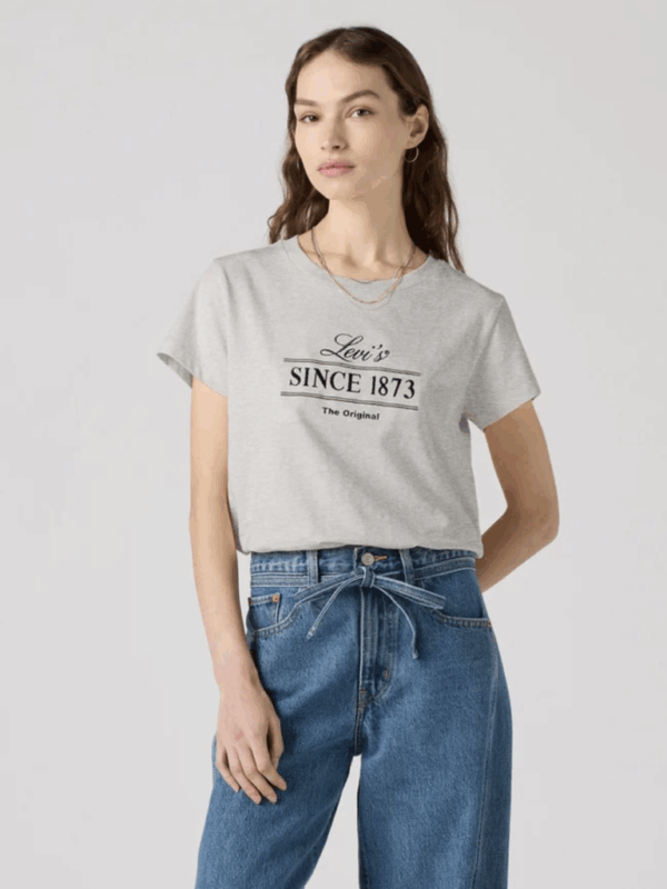 Levis Graphic Boxy Ladies Tee