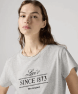 Levis Graphic Boxy Ladies Tee