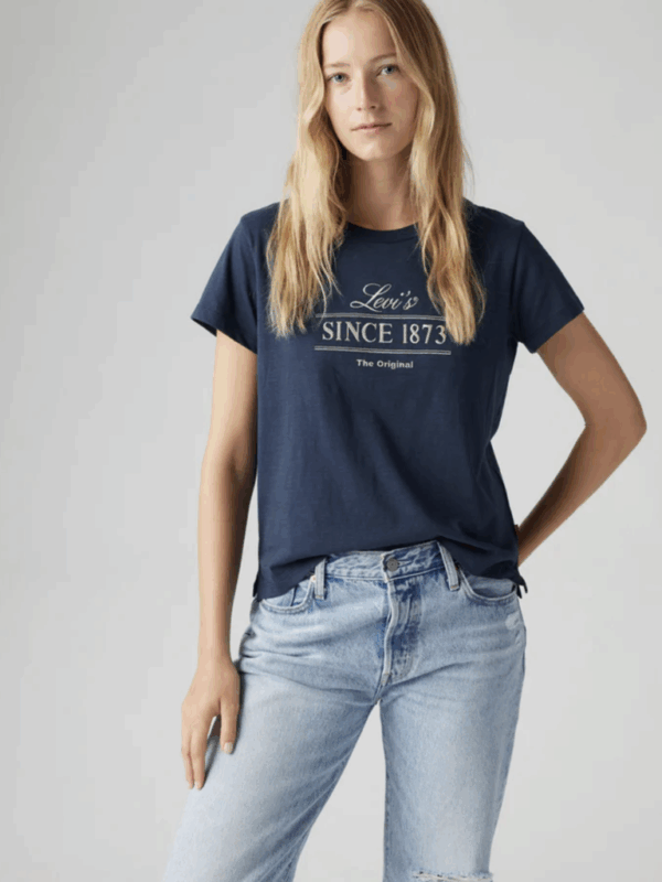Levis Graphic Boxy Ladies Tee