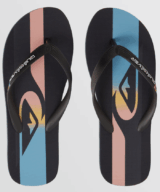 Quiksilver & Roxy Molokai Art Ii