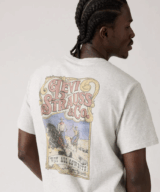 Levis Ss Relaxed Fit Tee