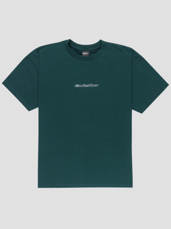 Quiksilver & Roxy Electric Connection Ss Te