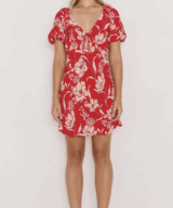 Minkpink Poppy Mini Dress